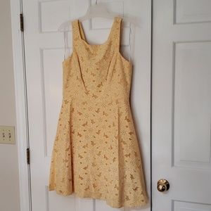 Maggy London adorable sun dress